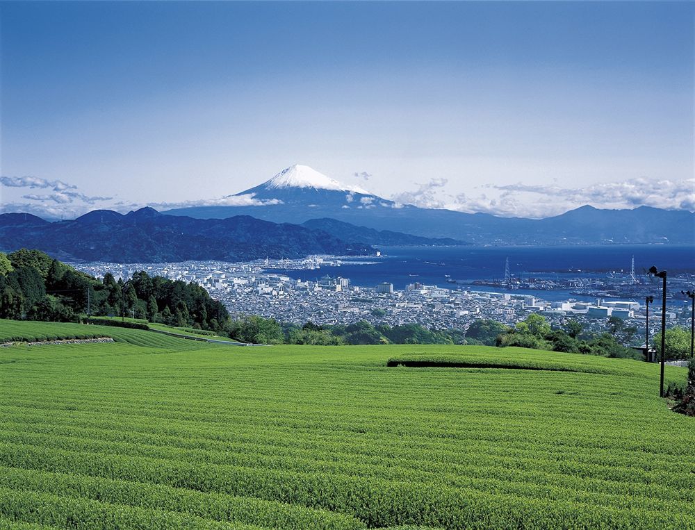 Shizuoka Kita Washington Hotel Plaza Kültér fotó
